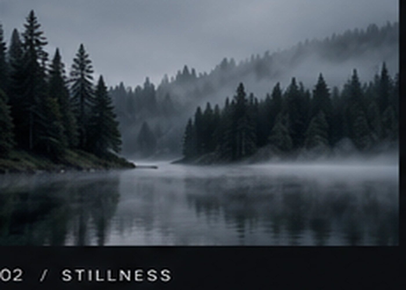 Forest landscape
