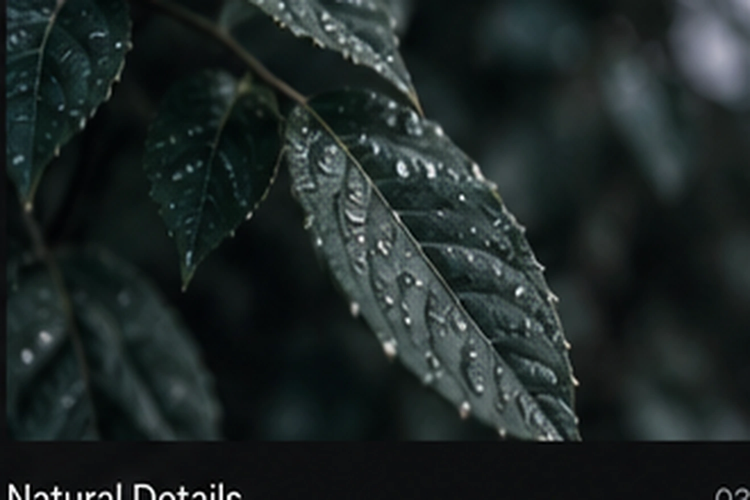 Natural detail